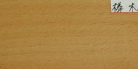 Zelkova Wood