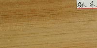 Chestnut Wood